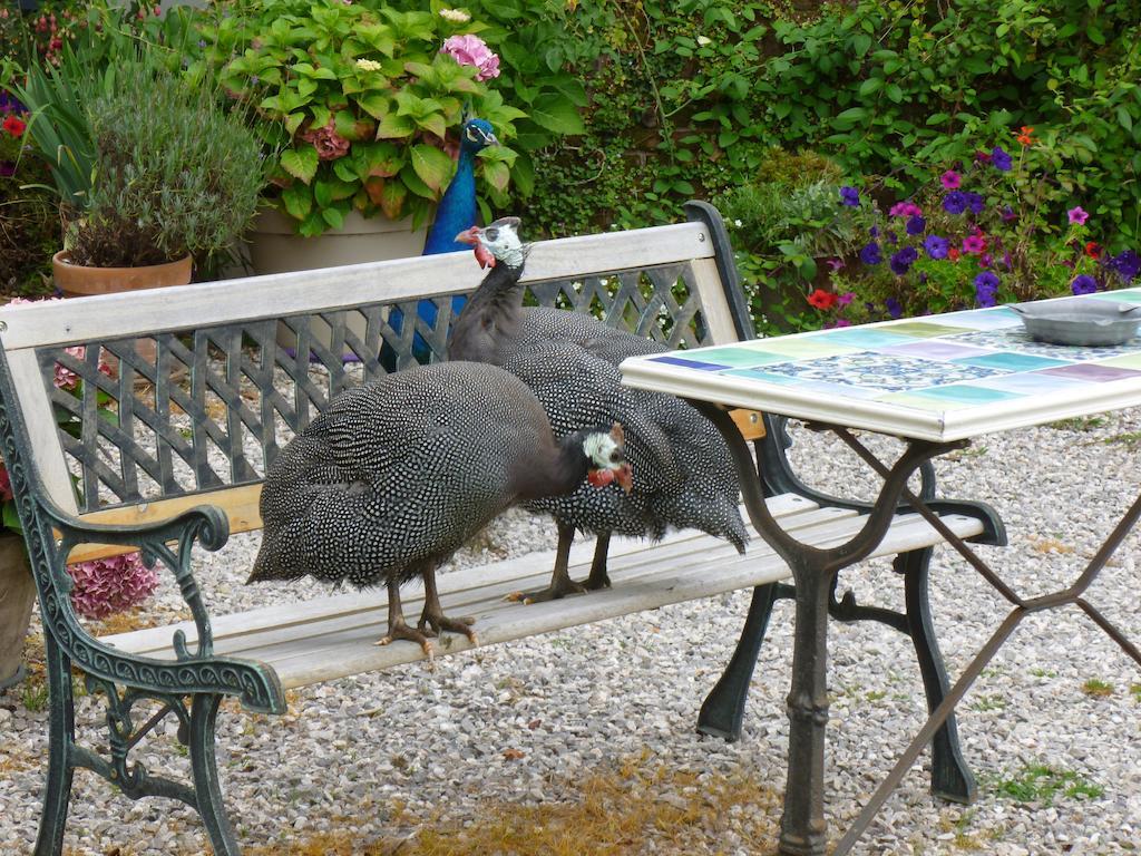 Manoir Francis Bed and Breakfast Marles-sur-Canche Buitenkant foto